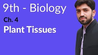 Matric part 1 Biology Plant Tissues  Ch 4 Cell biology  9th Class Biology [upl. by Coffey]