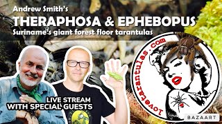 LIVE with LOVETARANTULASCOM Lets chat with Andrew Smith and Guy Tansley [upl. by Uball]