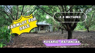 Vlog 38 FARMLOT FOR SALE  ROSARIO BATANGAS  25 HECTARES [upl. by Eimareg556]