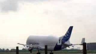 Takeoff of an Airbus A300600ST Beluga [upl. by Cohbath]