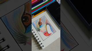 Easy color pencil drawing for beginners shorts [upl. by Nesrac]