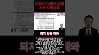 교통사고처리지원금 세부 보장내용 [upl. by Mozes]