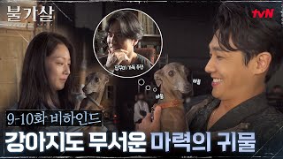 910화 메이킹 강아지도 바들바들 마력의 귀물 이준★ 불가살 EP11 [upl. by Liw]