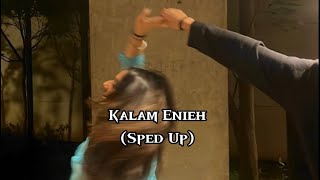 Sherine  Kalam Enieh Sped Up [upl. by Ebaj]