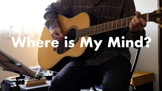 Pixies  Where is My Mind cover [upl. by Rimidalg59]