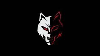 Wolf is live is live [upl. by Yerroc]