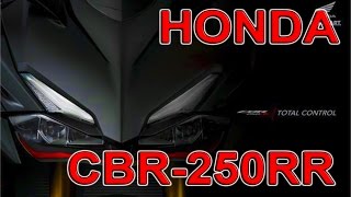 NOVA HONDA CBR 250RR  MOTONEWS [upl. by Lienhard797]