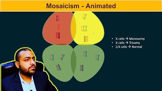 Mosaicism Basic Concepts [upl. by Lanor]