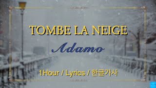 Tombe la neige 눈이 내리네 Adamo 1Hour  Lyrics  1시간듣기 한글가사 아다모 [upl. by Ybreh147]