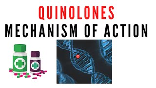 Quinolones pharmacology  Mechanism of action of quinolone antibiotics [upl. by Josselyn]