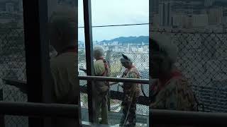 THE TOP Penang Adventure Skywalk Tower Walk amp More xiaoqiangwalker penang malaysia travel [upl. by Ciel]