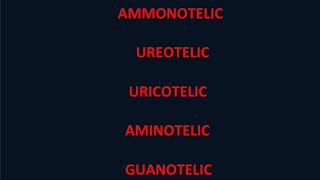 AmmonotelicUreotelic UricotelicAminotelic Guanotelic Removal of nitrogenous wastes [upl. by Fugate180]