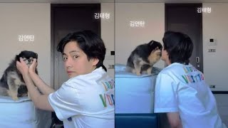 BTS V Emotional For Tannie 😭  V Missing Yeontan [upl. by Amund999]