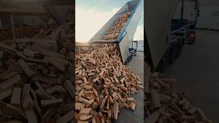 🪵🫣 Dosť bude firewood brennholz wood palivovedrevo beechwood truck dumptruck [upl. by Perloff516]