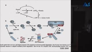 Avram Hershko  Lessons from the discovery of the ubiquitin system [upl. by Friede853]