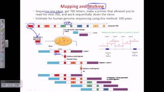 Genome sequencing [upl. by Fidellia]