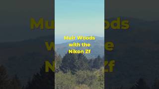 Photos From My Hike At Muir Woods  Nikon Zf  natural light photos travelphotography nikonzf [upl. by Cox204]