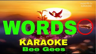 WORDS By Bee Gees KARAOKE Version 5D Surround Sounds [upl. by Klenk889]