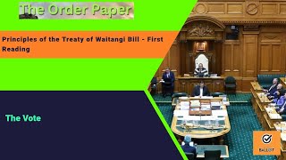 The Vote on the Principles of the Treaty of Waitangi Bill  First Reading [upl. by Rhpotsirhc]