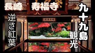 九十九島 展望台巡り と牡蠣祭り！寿福寺の逆さ紅葉の映えスポット！ [upl. by Olaf]