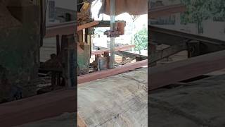 Meranti Wood sawmill [upl. by Mortimer273]