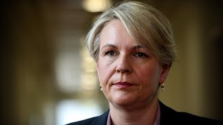 Tanya Plibersek backs section ten declaration in local NSW gold mine [upl. by Akeenat]