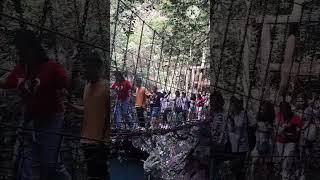 Scary swing bridge in chinatrending travel viral [upl. by Dnomal35]