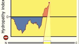 Hydropathy Index  Hydrophobicity scales [upl. by Finah]