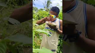 Eating Fresh vegetables salad shortsviral shortsvideo [upl. by Fish656]