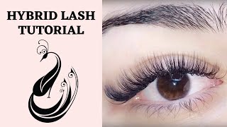 Hybrid Eyelash Extension Tutorial C amp D Curl  Is it OK to mix curls  Eyelash Extensions 101 [upl. by Eislek992]