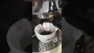 Gaggia Evolution white espresso [upl. by Nellda]