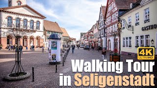 Walking tour in Seligenstadt [upl. by Sulienroc364]