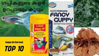 BEST FOOD FOR GUPPYTOP 10 FOODS FOR FANCY GUPPIES [upl. by Audi507]