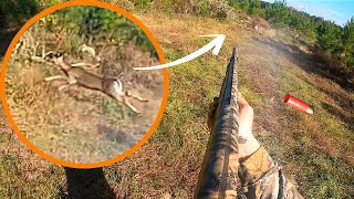 KILL SHOT Compilation Pt 1  2023 Deer Hunting With Dogs [upl. by Cornel640]