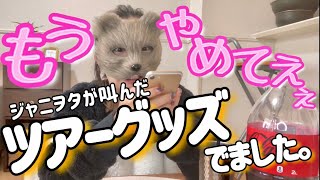 キスマイのグッズ買うけど【ジャニヲタvlog】当落あり KisMyFt2 LIVE 逢えるde Show [upl. by Leena]