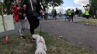 Barking Road Runners  The Phipps 26082024 [upl. by Ardelle]