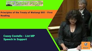 Casey Costello on the Principles of the Treaty of Waitangi Bill  First Reading [upl. by Atinrahc]