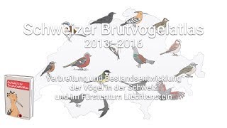 Schweizer Brutvogelatlas 2013–2016 [upl. by Motch]