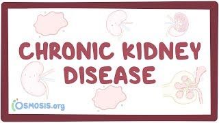 Chronic kidney disease  causes symptoms diagnosis treatment pathology [upl. by Mussman553]