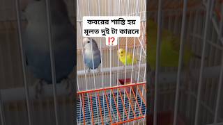 কবরের শাস্তি হয় মূলত দুই টা কারনে ⁉️abutahaadnan wazkoborerajab islamicshortvideo shorts bd [upl. by Anitniuq]