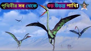 Quetzalcoatlus সর্বকালের বৃহত্তম উড়ন্ত প্রাণীদের মধ্যে এক অদ্ভুত পাখি  পৃথিবীর সবচেয়ে বড় পাখি [upl. by Notselrahc]