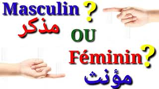 le masculin et le féminin في اللغة الفرنسية [upl. by Nnayelhsa659]