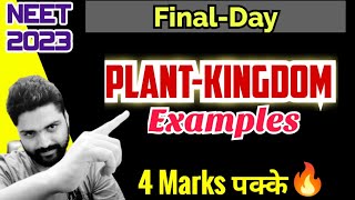 PLANT KINGDOM Examples Tricks🔥 4 Marks पक्के  Neet 2023 [upl. by Saideman647]