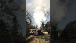 Single Chimney 9F 92134 departs Goathland with the mixed goods on the NYMR train steam [upl. by Nanji]