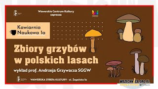 Zbiory grzybów w polskich lasach  prof Andrzej Grzywacz [upl. by Arracahs688]