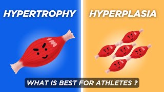 Build STRENGTH using Hyperplasia  Factors affecting strength  Hypertrophy vs Hyperplasia [upl. by Siesser]