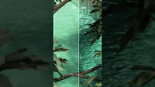 Create realistic water in Lumion 2023 shorts [upl. by Elyse]