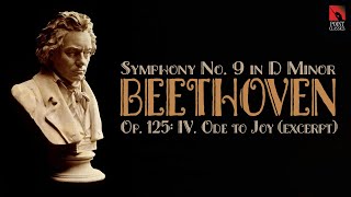 Beethoven Symphony No 9 in D Minor Op 125 IV Ode to Joy excerpt [upl. by Navi]