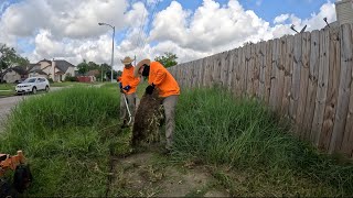 It was an ABSOLUTE NIGHTMARE mowing this YARD and you WON’T BELIEVE why [upl. by Zephan822]