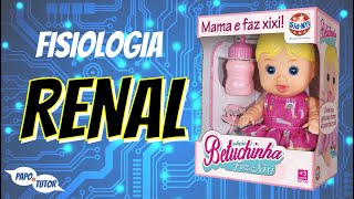 Funcionamento do Rim Fisiologia Renal  Papo de Tutor 21 [upl. by Chariot971]